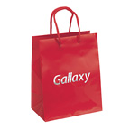 Crystal Gloss Eurototes Bag 7-3/4W x 4-3/4 x 9-3/4H